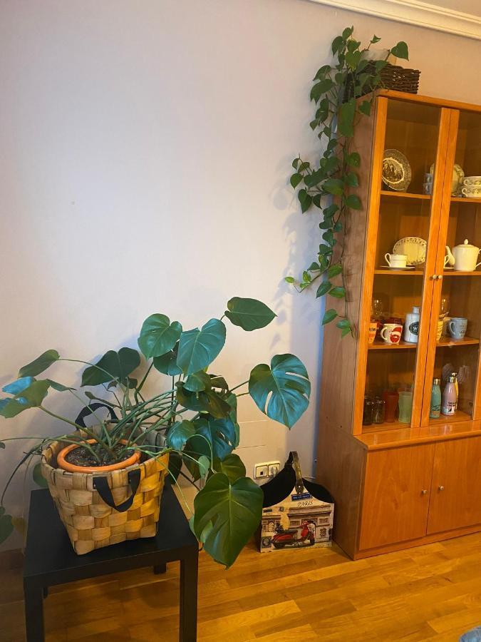 Alameda 5 Appartement Oviedo Buitenkant foto